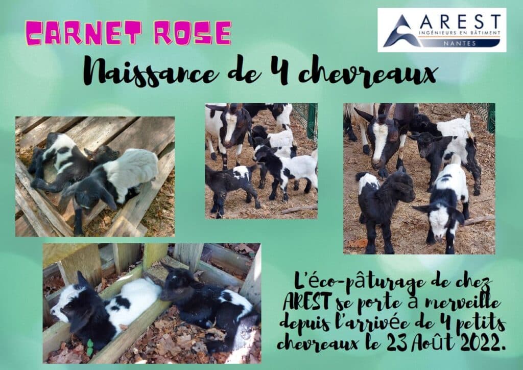 VIE DE L'ENTREPRISE 16 Carnet rose